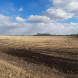 1/23 доли на земельный участок, 24:10:0102001:1175