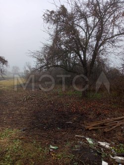 Дом 19,9 кв.м. и земельный участок 890 кв.м. в Воронежской обл. 