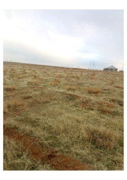 Земельный участок, площадь: 800 кв.м, адрес (местонахождение): астраханская область, р-н…