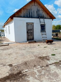 Имущество  Синева Дмитрия Викторовича, лот № 1 - земельный участок, кадастровый номер:…