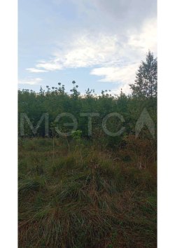 1/74 доля земельного участка в Татарстане 