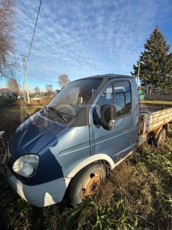 ГАЗ-3302 («ГАЗель», грузовая), 2007 года, 251417 км 