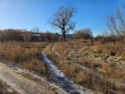 Земельный участок, кадастровый номер 63:23:1104070:95, адрес: Самарская область, р-н. Кинель…