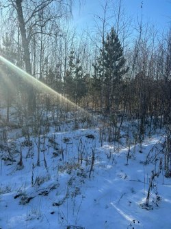 Земельный участок, расположенный по адресу: Тюменская область, Тюменский район, тер. Салаирское…