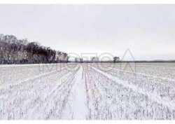 1/148 доля земельного участка в Омской обл. 