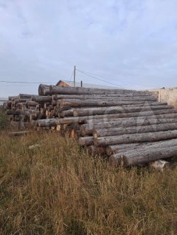 Лес кругляк лиственницы 146 м3 