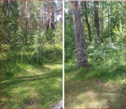 Земельный участок в Московской обл., 71759+/-187 кв.м. 