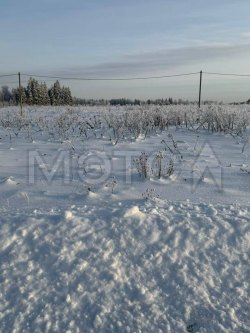 Земельный участок в Московской обл., 746 +/- 10 кв.м. 