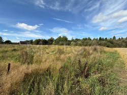 Земельный участок в Ленинградской обл., 929 кв.м. 