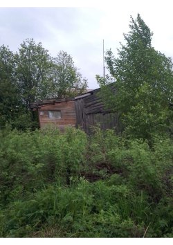 Продажа имущества должника Ульянова Николая Владимировича Земельный участок
Кадастровый номер…