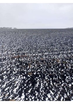 земельный участок