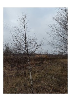 Земельный участок площадью 809 кв.м., с кадастровым номером 71:14:040301:4916, расположенный по…