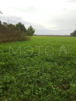 Земельный участок в Тюменской обл., 131000 кв.м. 