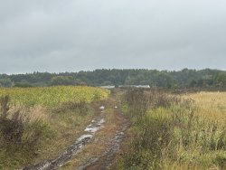 Земельный участок, недвижимое имущество