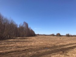 Земельный участок - 24 139 +/- 109 кв. м, местоположение: Псковская область, Пыталовский р-н, СП…