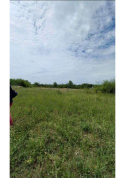 Земельный участок, площадь: 1 098кв.м., адрес (местонахождение): Воронежская область, р-н…