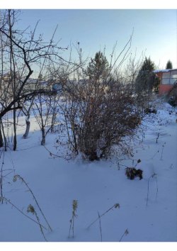 Гараж, площадь: 18,8кв.м., кадастровый
номер: 74:33:0129001:6570, адрес
(местонахождение): 455000…