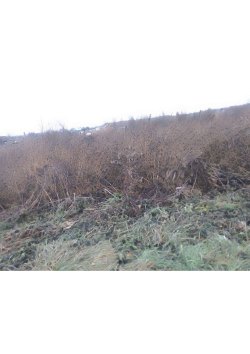 Земельный участок, площадь: 94
000кв.м., кадастровый номер:
02:54:200304:85, Категория…