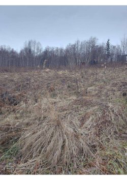 Продажа имущества должника Стягайло Оксаны Николаевны Земельный участок
Кадастровый номер…