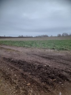 Земельный участок, расположенный по адресу: Кировская область, г Киров, д Чарушины, кадастровый…