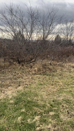 Земельный участок, площадью 627 кв.м., по адресу: городской округ город Минусинск, город Минусинск…