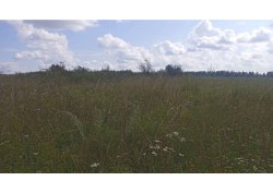 земельный участок