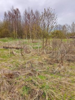 Земельный участок в Ленинградской обл., 2244 +/- 33 кв.м. 