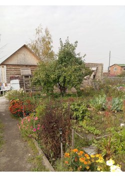 Земельный участок, кадастровый номер: 55:26:300701:197, виды разрешенного использования объекта…