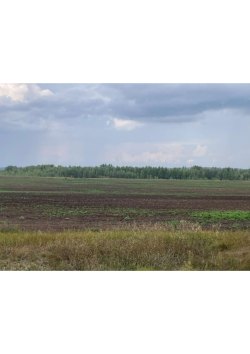 земельный участок