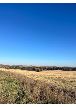 земельный участок