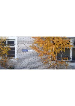 Жилое помещение с земельным участком в с. Бичура