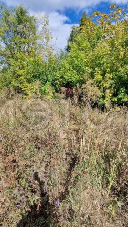 Земельный участок в Ульяновской обл., 600 кв.м. 