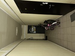 Жилое помещение