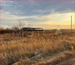 Земельный участок в Курганской обл., 1000000 кв.м. 