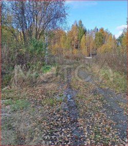 Земельный участок в Свердловской обл., 5178 кв.м. 