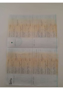 Анищенкова Оксана МихайловнаЛегковой автомобиль, марка: РЕНО ПРЕМИУМ, год изготовления: 2012, цвет:…