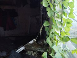 Подольская Валентина Александровна
Лот №2: Жилой дом, площадь 32.4 кв.м., назначение: Жилое, адрес…