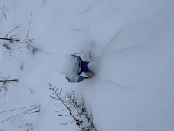 Жилой дом, расположенный на Земельном участке, общей (проектной) площадью 99,91 кв. метров…