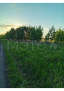 Доля земельного участка в Челябинской обл. 