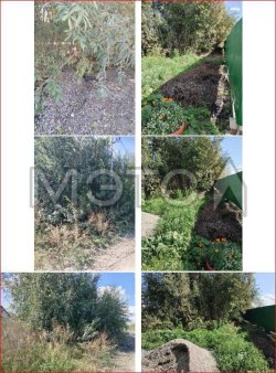 Земельный участок в Новосибирской обл., 226 кв.м. 