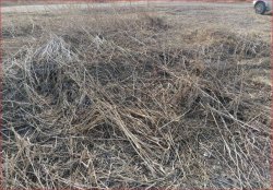 1/2 доля земельного участка в Курганской обл. 