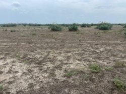 Жигалова Элина Ихласовна
Земельный участок, площадь 400+/-5 кв.м., адрес (местонахождение): Россия…