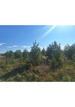 Земельный участок