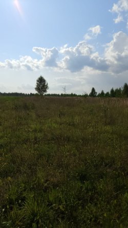 земельный участок