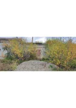 Нежилое здание, кадастровый номер 75:14:260145:155, расположенное по адресу: Забайкальский край…