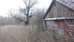 земельный участок и расположенный на нем жилой дом