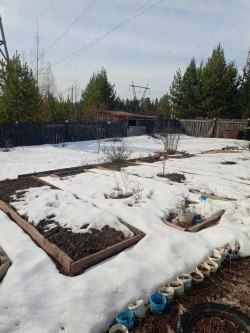 земельный участок (сад) в СНТ Сад Кедр