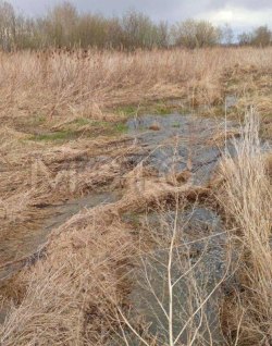 Земельный участок в Хабаровском крае, 8042 кв.м. 