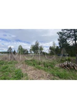 Здание 12 кв.м. и земельный участок 580 кв.м. во Владимирской обл. 