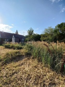 Шматов Дмитрий Викторович
Земельный участок, площадь 500 кв.м., адрес (местонахождение): Россия…